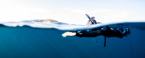 CURS DE INSTRUCTOR  PADI D'APNEA