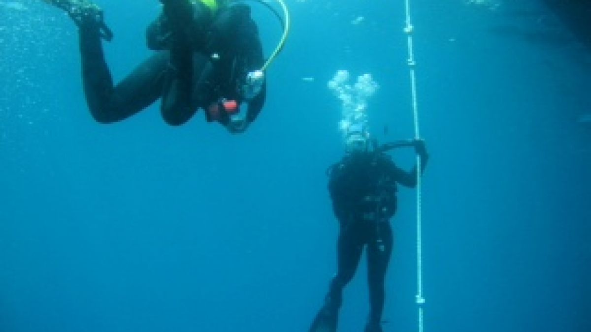 Deportes escolares RUB - Buceo en una hermosa reserva natural en Europa