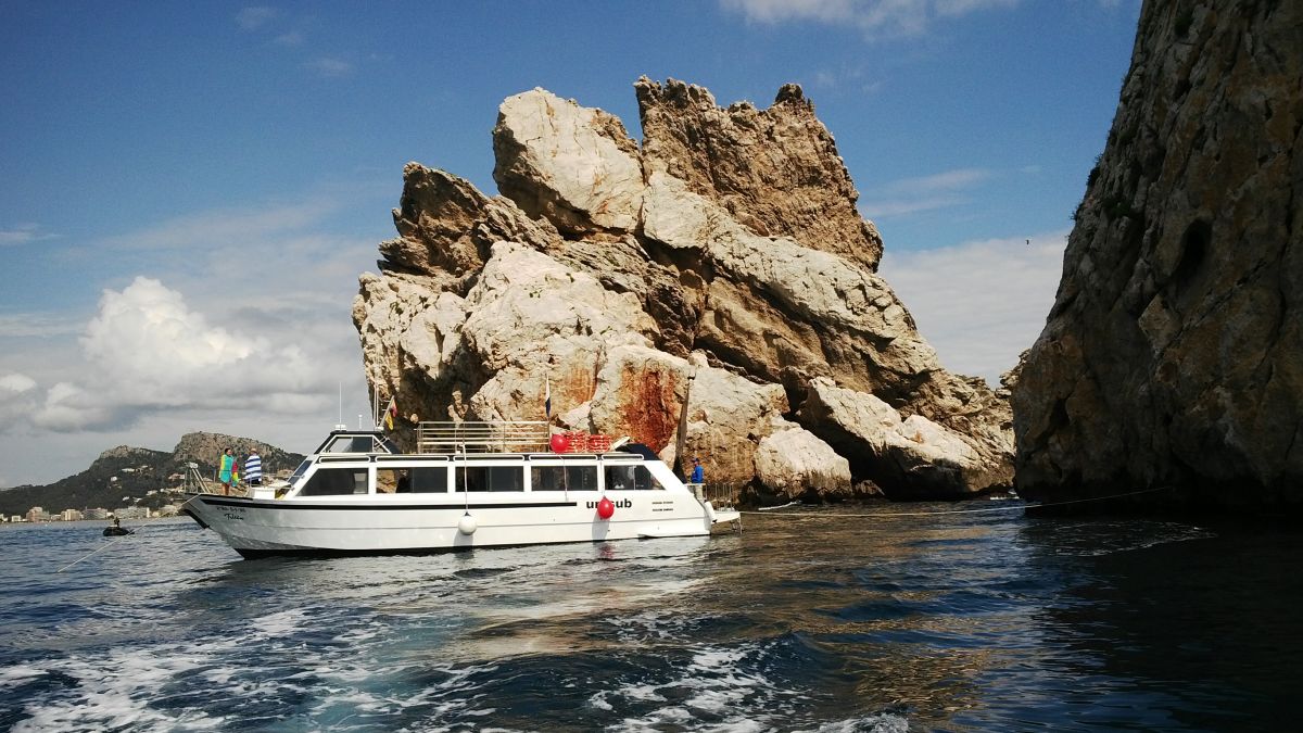 Una altra fantàstica immersío al Carll Bernat