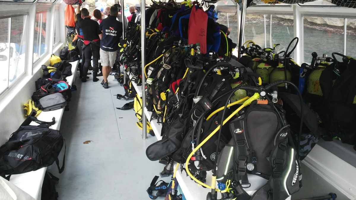 All ready for the dive!